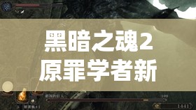 黑暗之魂2原罪学者新手必看，开局职业选择与开荒攻略全面揭秘！