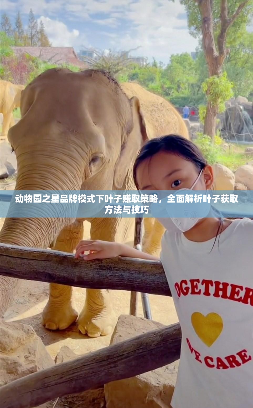 动物园之星品牌模式下叶子赚取策略，全面解析叶子获取方法与技巧