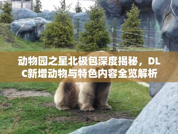 动物园之星北极包深度揭秘，DLC新增动物与特色内容全览解析
