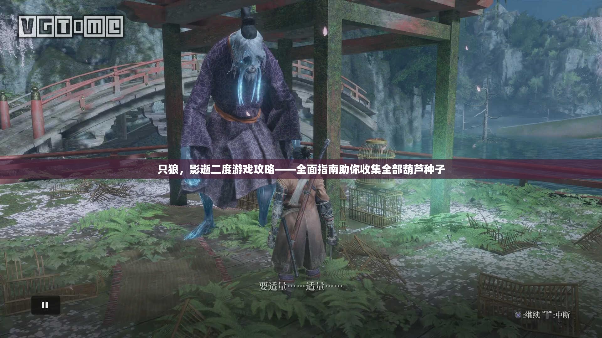 只狼，影逝二度游戏攻略——全面指南助你收集全部葫芦种子