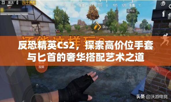 反恐精英CS2，探索高价位手套与匕首的奢华搭配艺术之道