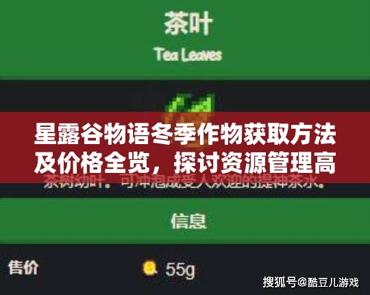 星露谷物语冬季作物获取方法及价格全览，探讨资源管理高效策略的重要性