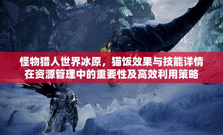 怪物猎人世界冰原，猫饭效果与技能详情在资源管理中的重要性及高效利用策略