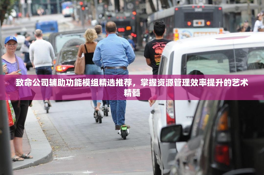 致命公司辅助功能模组精选推荐，掌握资源管理效率提升的艺术精髓