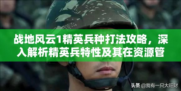 战地风云1精英兵种打法攻略，深入解析精英兵特性及其在资源管理中的战略价值