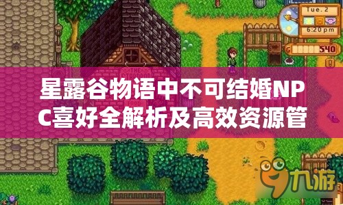 星露谷物语中不可结婚NPC喜好全解析及高效资源管理策略