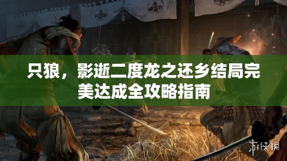 只狼，影逝二度龙之还乡结局完美达成全攻略指南
