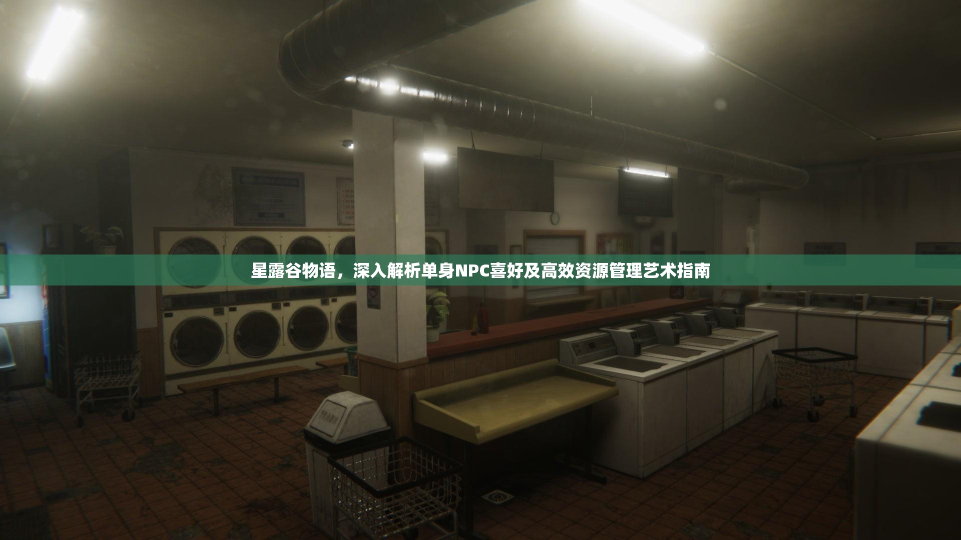 星露谷物语，深入解析单身NPC喜好及高效资源管理艺术指南