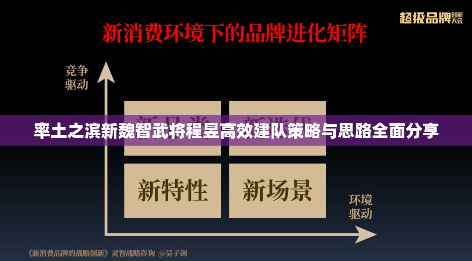 率土之滨新魏智武将程昱高效建队策略与思路全面分享