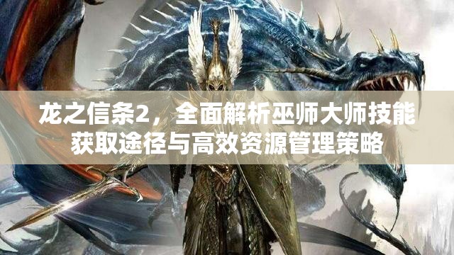 龙之信条2，全面解析巫师大师技能获取途径与高效资源管理策略