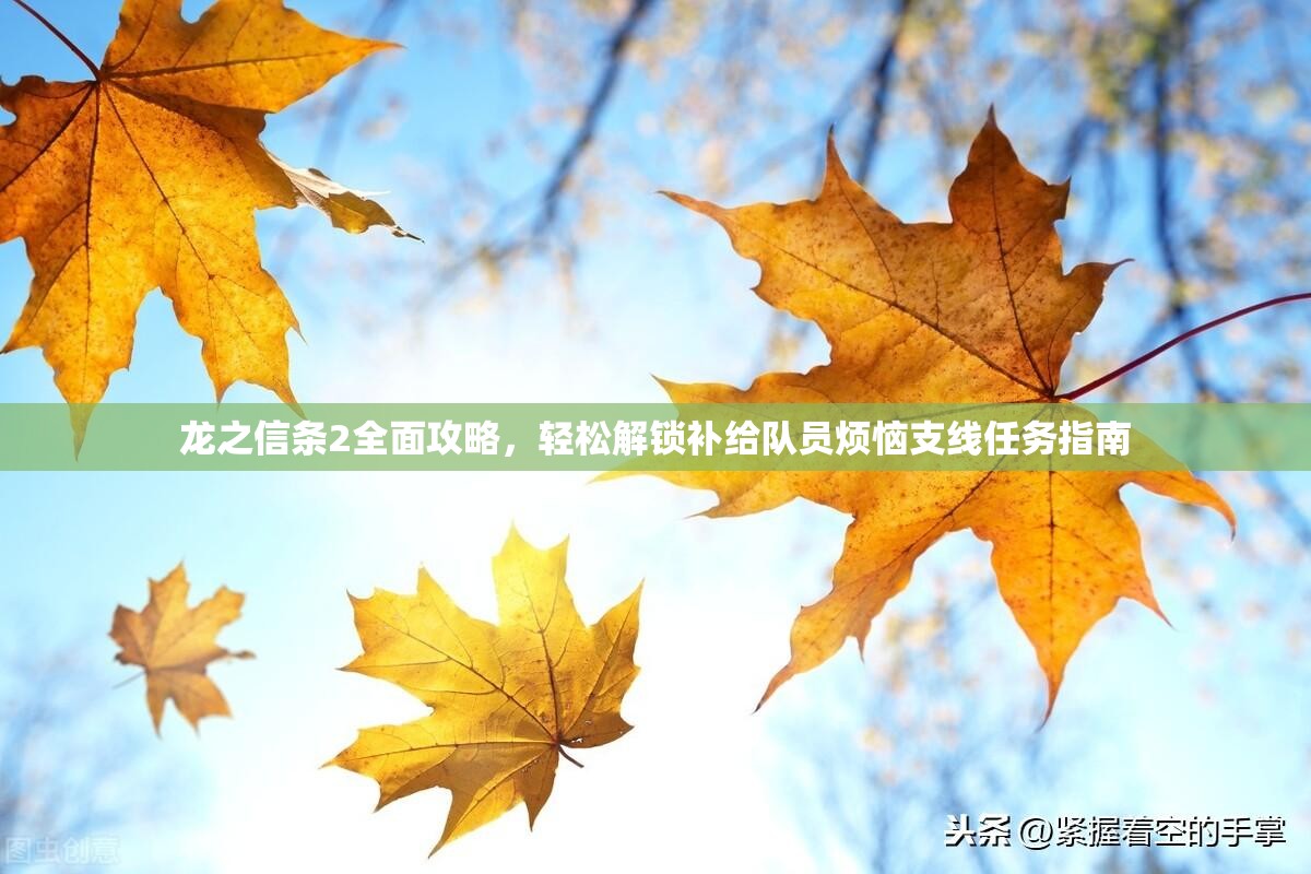 龙之信条2全面攻略，轻松解锁补给队员烦恼支线任务指南