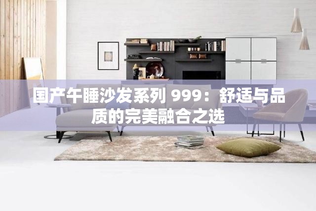国产午睡沙发系列 999：舒适与品质的完美融合之选