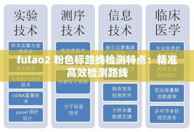 fulao2 粉色标路线检测特点：精准高效检测路线