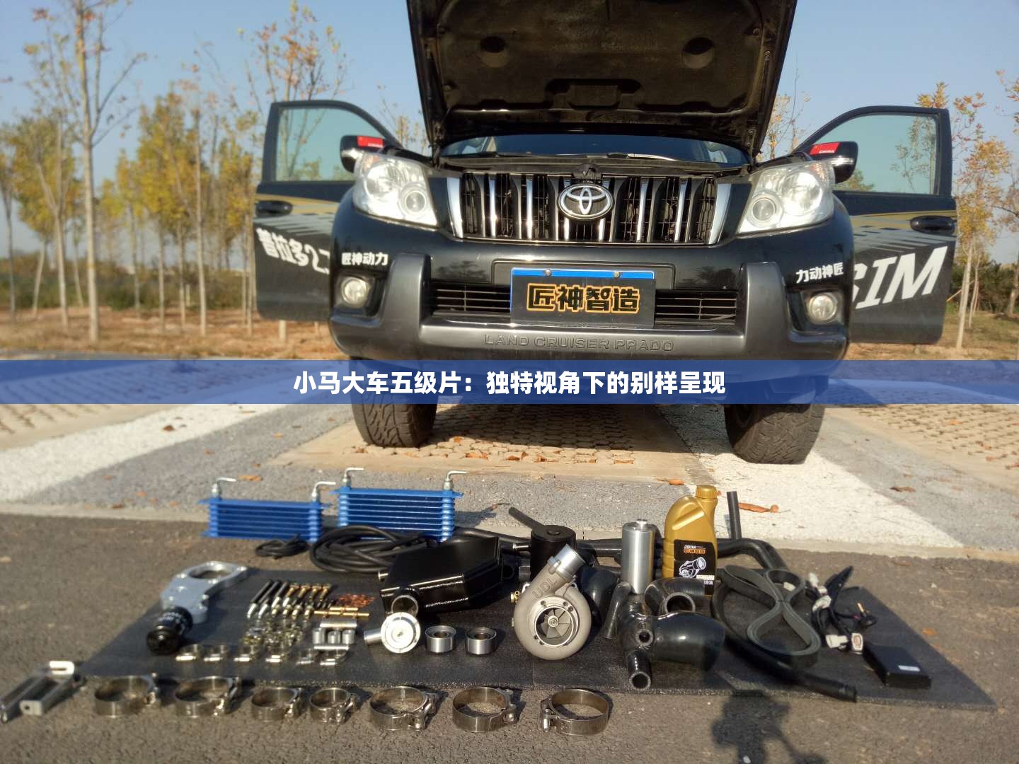 小马大车五级片：独特视角下的别样呈现