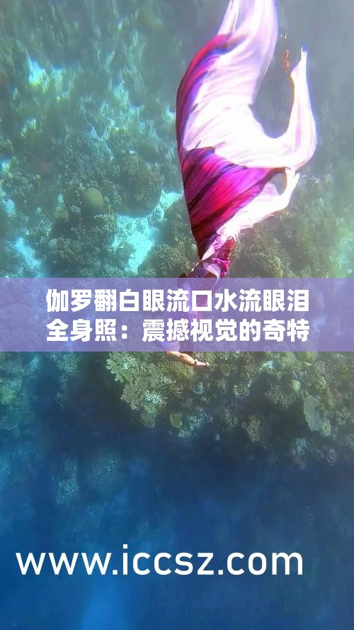 伽罗翻白眼流口水流眼泪全身照：震撼视觉的奇特场景