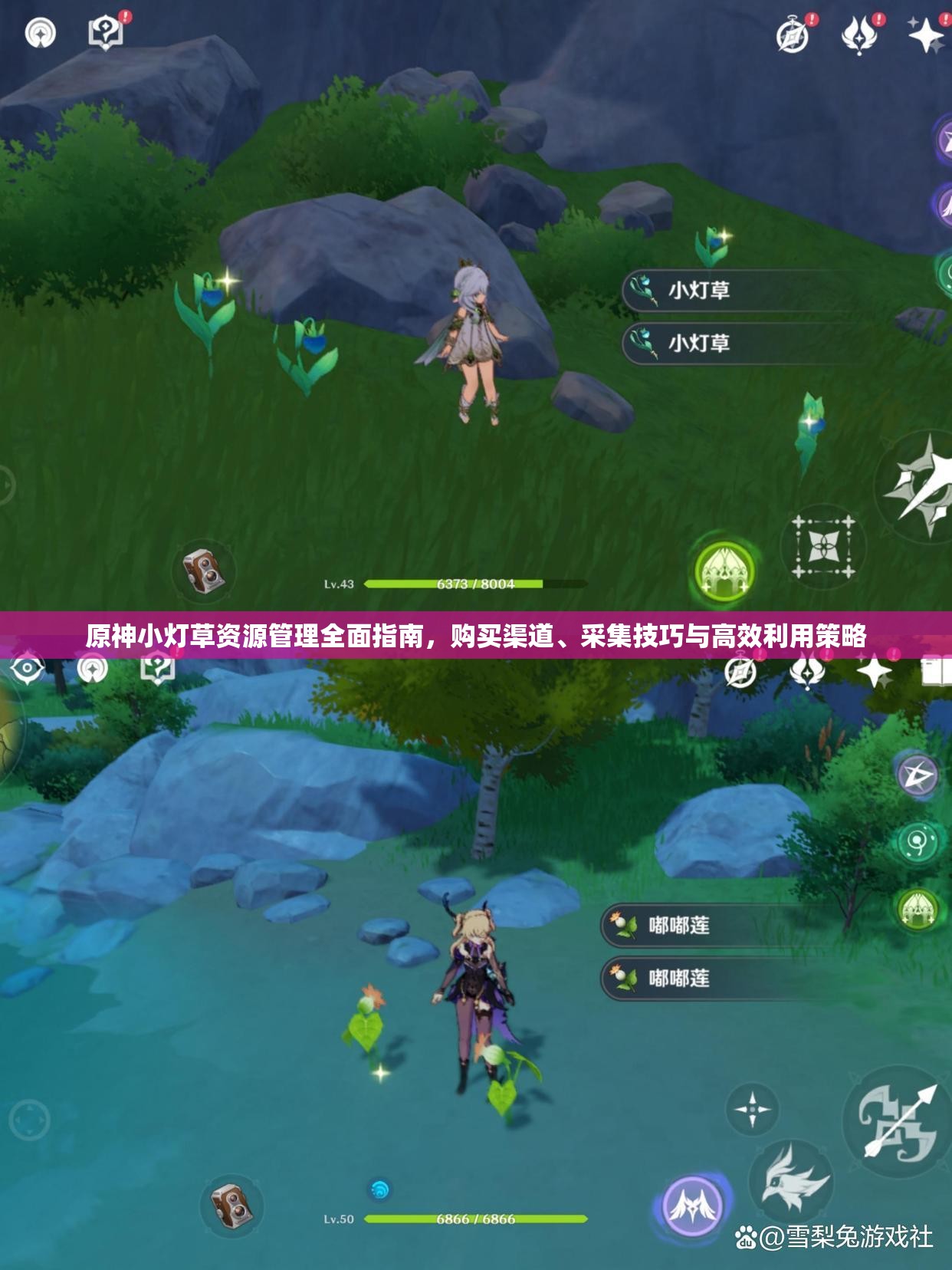原神小灯草资源管理全面指南，购买渠道、采集技巧与高效利用策略