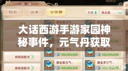 大话西游手游家园神秘事件，元气丹获取攻略，资源管理技巧及价值最大化策略