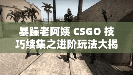 暴躁老阿姨 CSGO 技巧续集之进阶玩法大揭秘