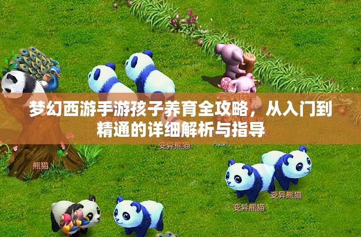 梦幻西游手游孩子养育全攻略，从入门到精通的详细解析与指导
