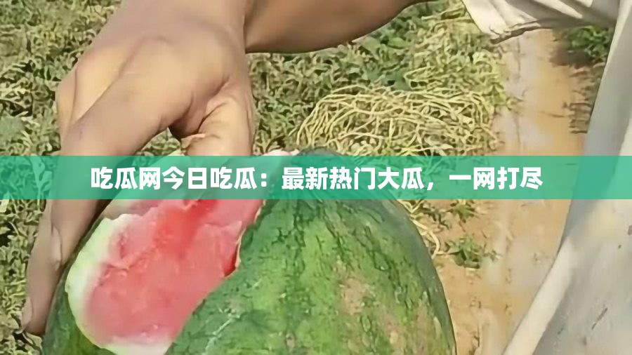 吃瓜网今日吃瓜：最新热门大瓜，一网打尽