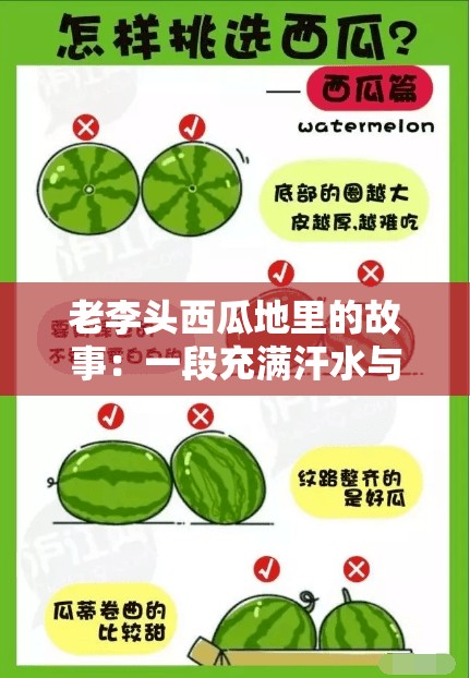 老李头西瓜地里的故事：一段充满汗水与希望的田园篇章