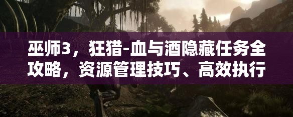 巫师3，狂猎-血与酒隐藏任务全攻略，资源管理技巧、高效执行策略及避免资源浪费指南