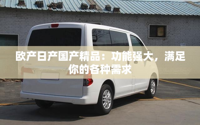 欧产日产国产精品：功能强大，满足你的各种需求