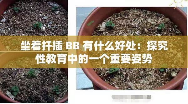 坐着扦插 BB 有什么好处：探究性教育中的一个重要姿势