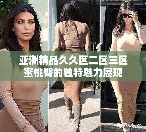 亚洲精品久久区二区三区蜜桃臀的独特魅力展现