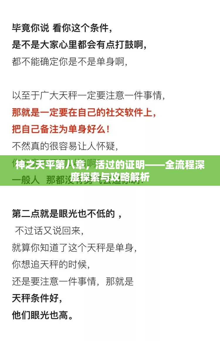 神之天平第八章，活过的证明——全流程深度探索与攻略解析