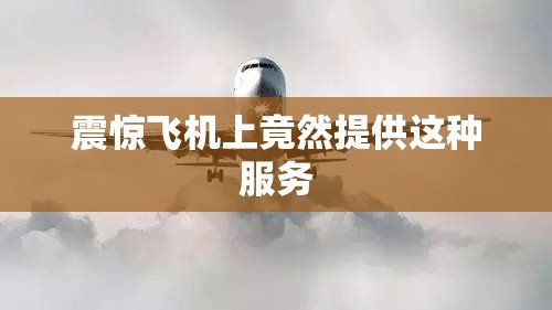 震惊飞机上竟然提供这种服务