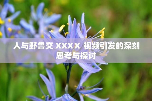 人与野鲁交 XXXⅩ 视频引发的深刻思考与探讨