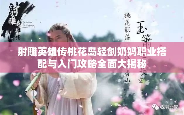 射雕英雄传桃花岛轻剑奶妈职业搭配与入门攻略全面大揭秘