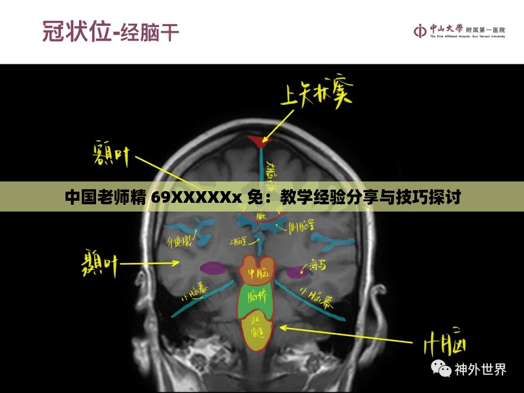 中国老师精 69XXXXXx 免：教学经验分享与技巧探讨