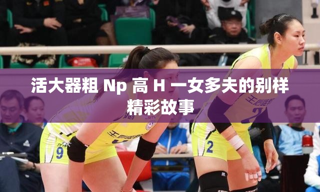 活大器粗 Np 高 H 一女多夫的别样精彩故事