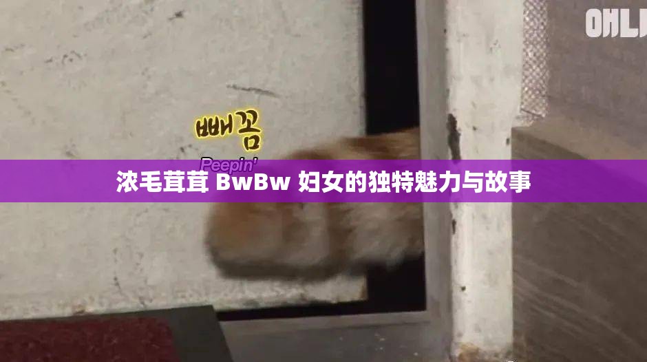 浓毛茸茸 BwBw 妇女的独特魅力与故事
