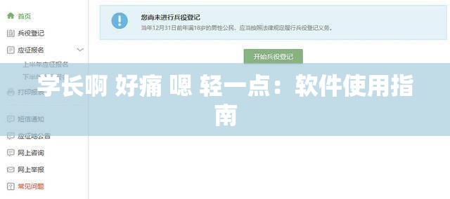 学长啊 好痛 嗯 轻一点：软件使用指南