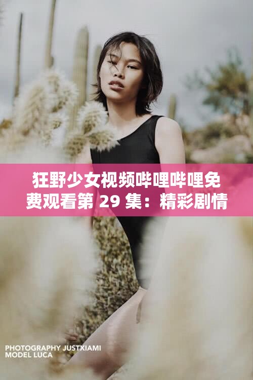 狂野少女视频哔哩哔哩免费观看第 29 集：精彩剧情不容错过