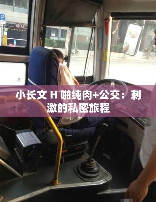 小长文 H 啪纯肉+公交：刺激的私密旅程