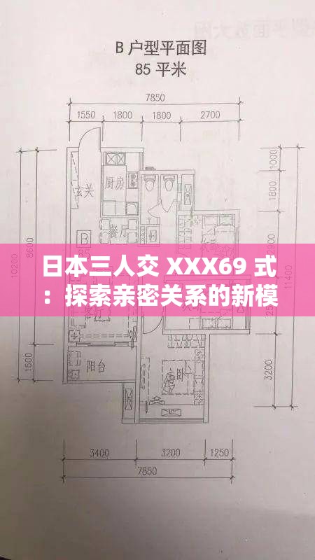 日本三人交 XXX69 式：探索亲密关系的新模式