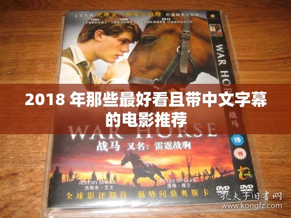 2018 年那些最好看且带中文字幕的电影推荐