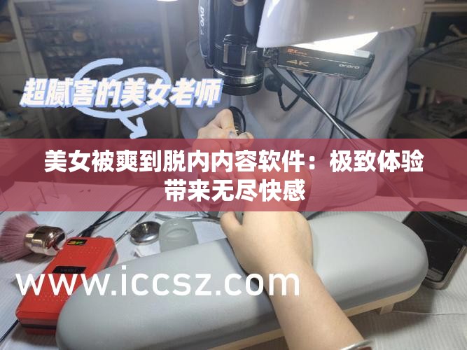 美女被爽到脱内内容软件：极致体验带来无尽快感