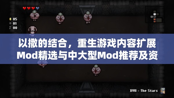 以撒的结合，重生游戏内容扩展Mod精选与中大型Mod推荐及资源管理技巧