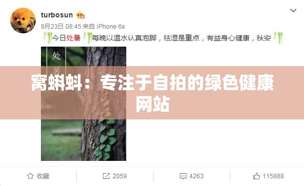 窝蝌蚪：专注于自拍的绿色健康网站