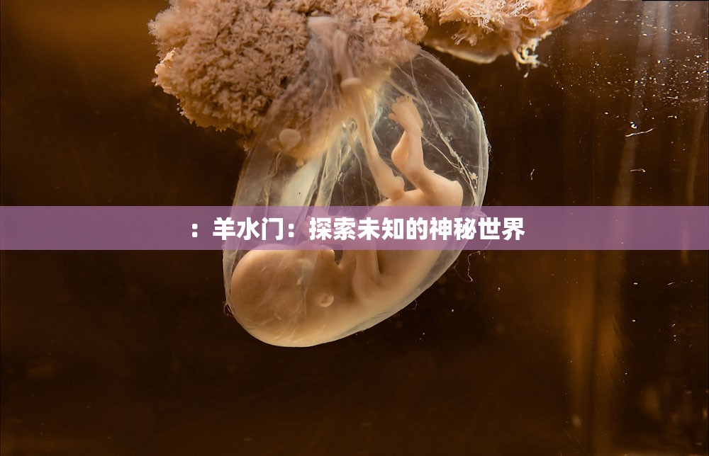 ：羊水门：探索未知的神秘世界