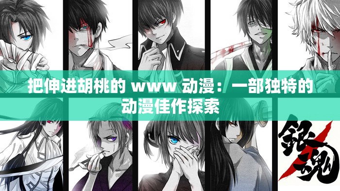 把伸进胡桃的 www 动漫：一部独特的动漫佳作探索