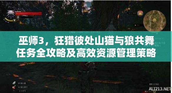 巫师3，狂猎彼处山猫与狼共舞任务全攻略及高效资源管理策略