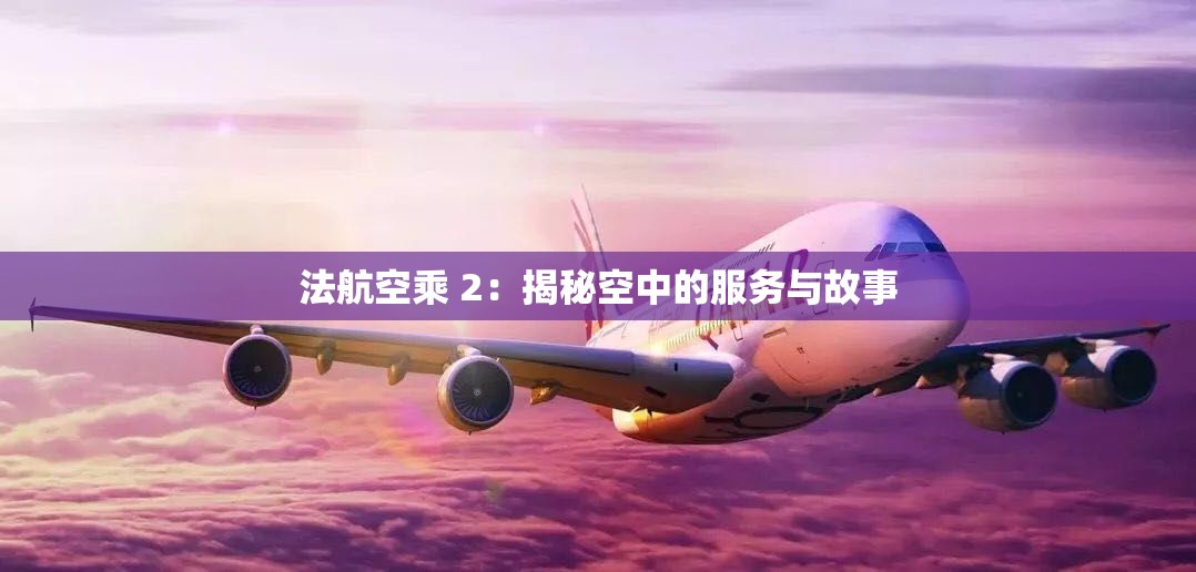 法航空乘 2：揭秘空中的服务与故事