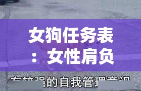 女狗任务表：女性肩负的多样使命与挑战