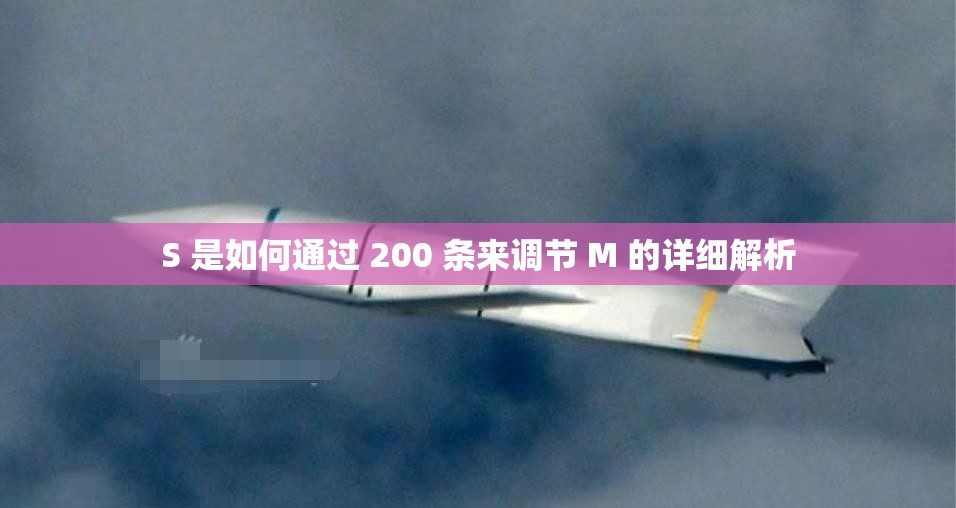 S 是如何通过 200 条来调节 M 的详细解析